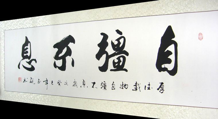 橫幅書法自強不息