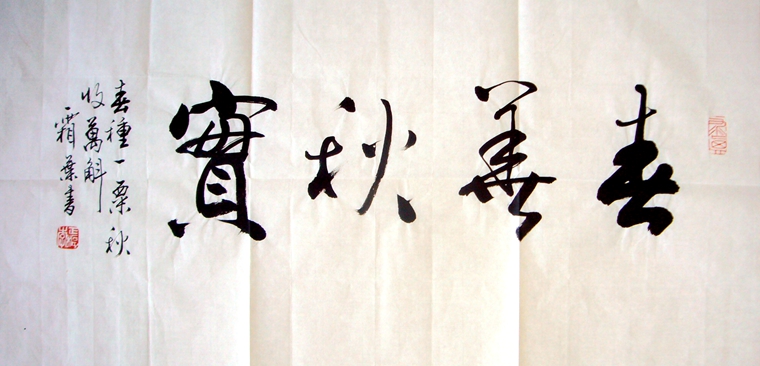 書法春華秋實