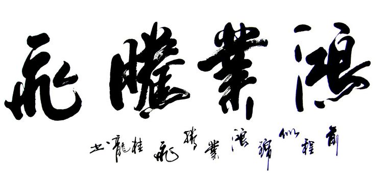 鴻業(yè)騰飛書法作品