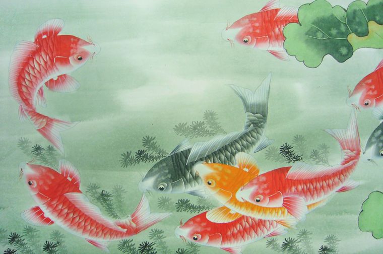工筆鯉魚圖