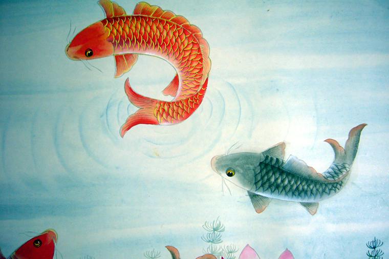 九魚荷花圖